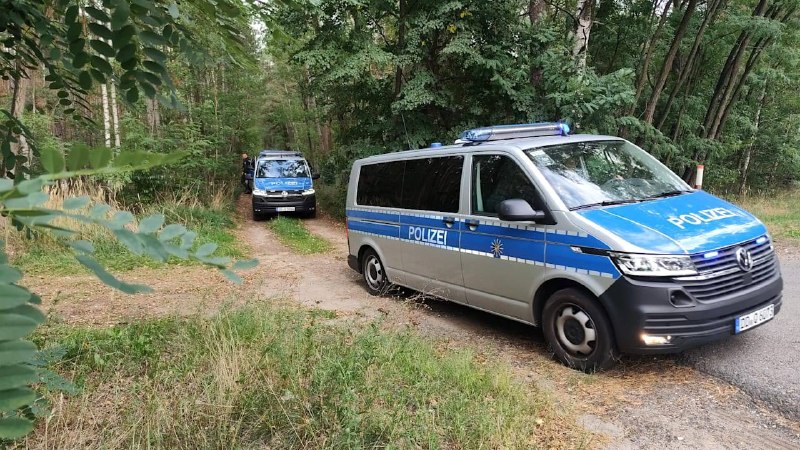 В Саксонии нашли 11 самодельных бомб у объектов энергетики
